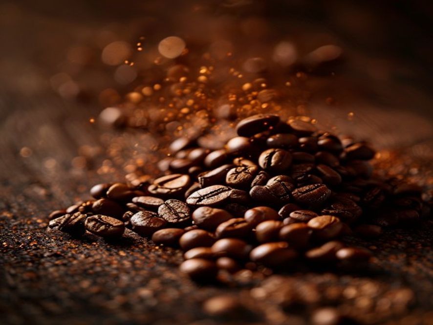 Taze kavrulmuş Arabica çekirdekleri