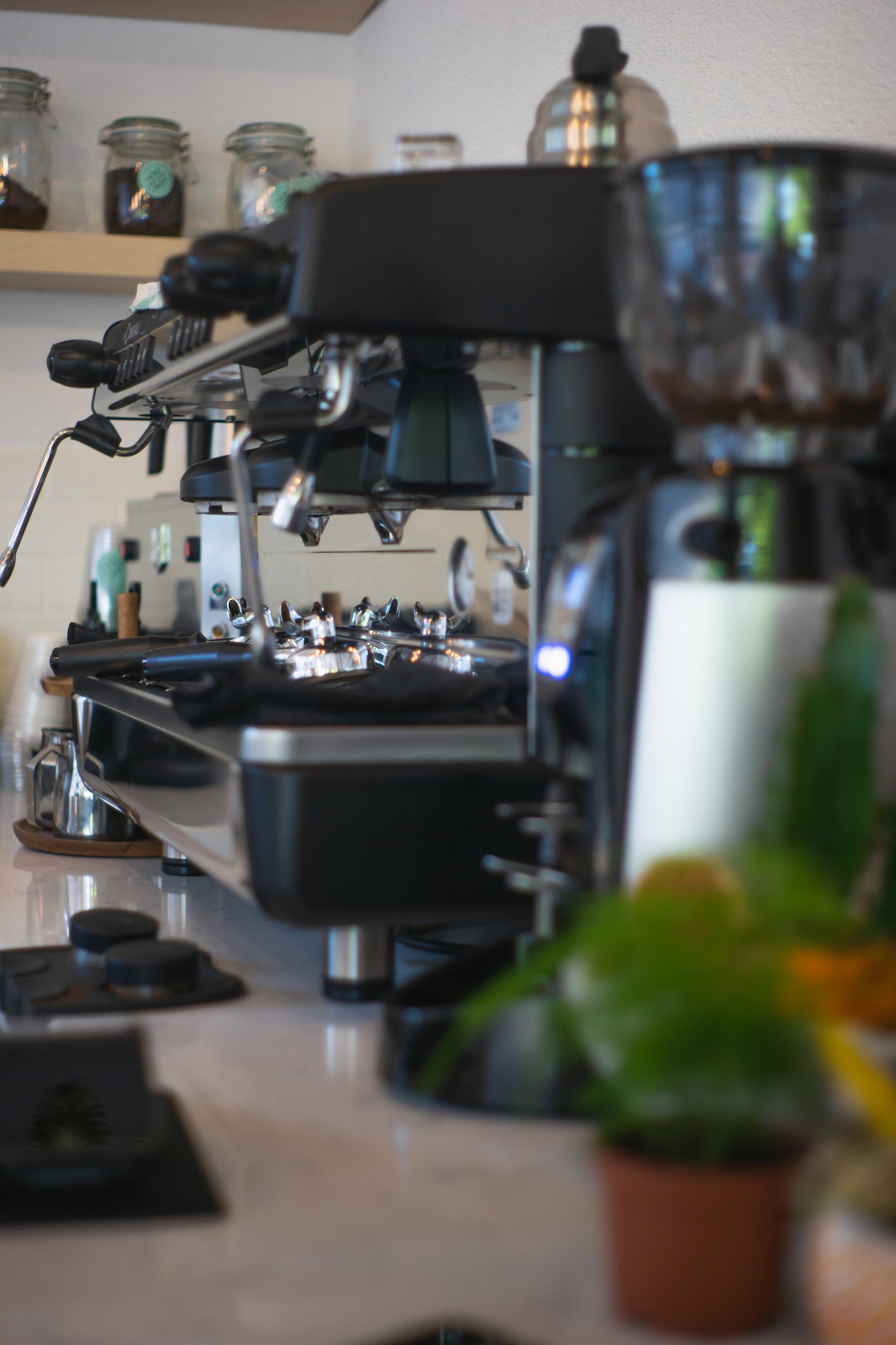 Sabah ışığı, tezgâhta.